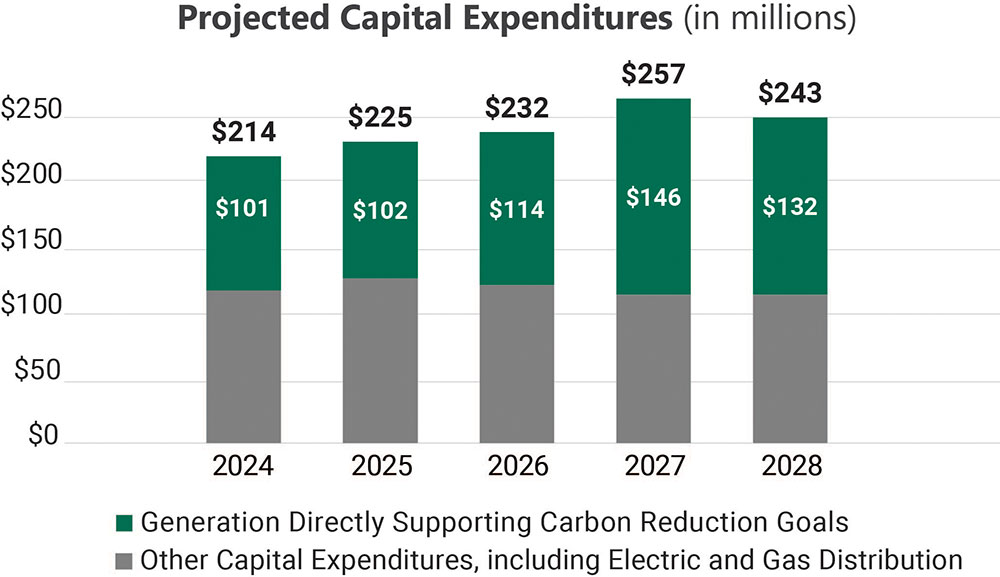 Projected capital expenditures (in millions)